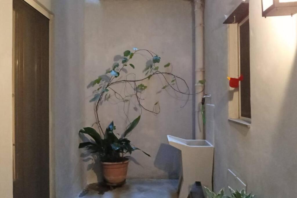 Apartamento A Due Passi Dal Centro Florencia